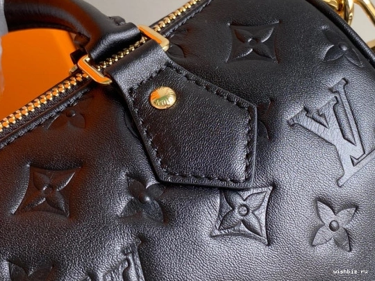 WIS BANDOULIÈRE LOUIS VUITTON 22 SPEEDY 0320